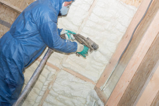 Best Basement Insulation  in Quitman, MS